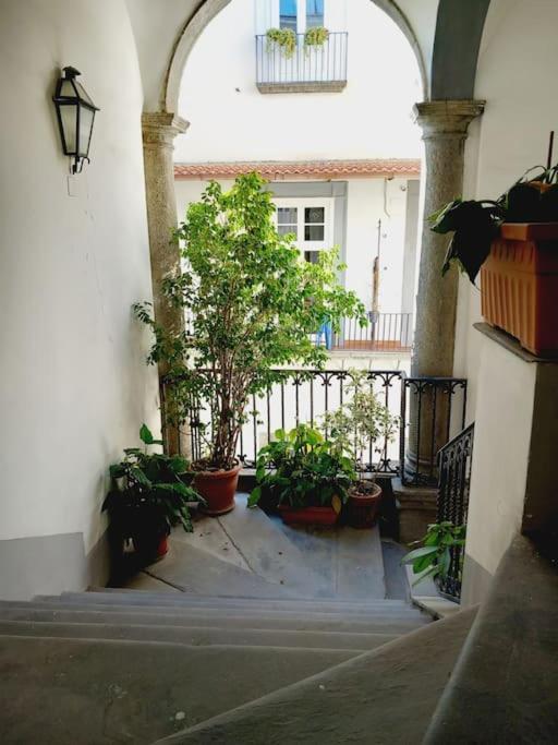 Nilo 28 House Apartment Naples Luaran gambar